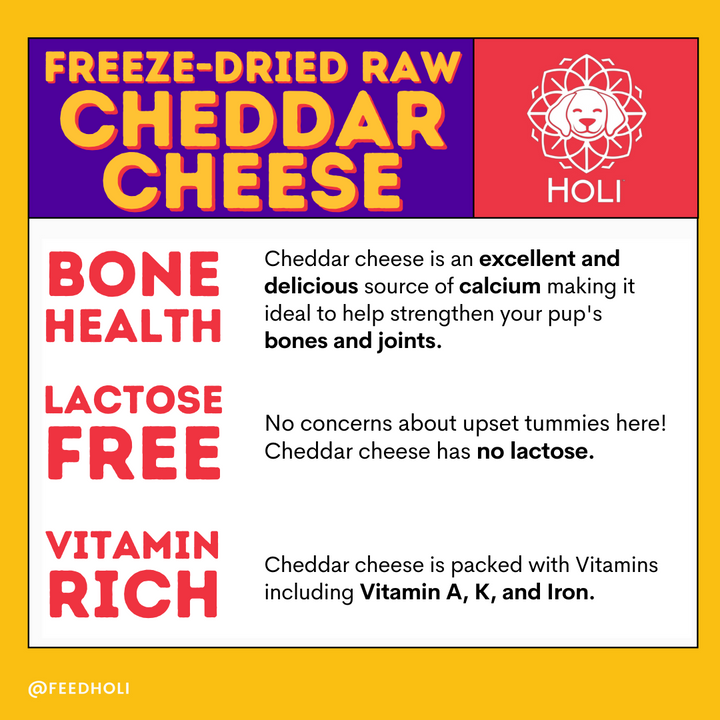 Cheddar Cheese Dog Treats